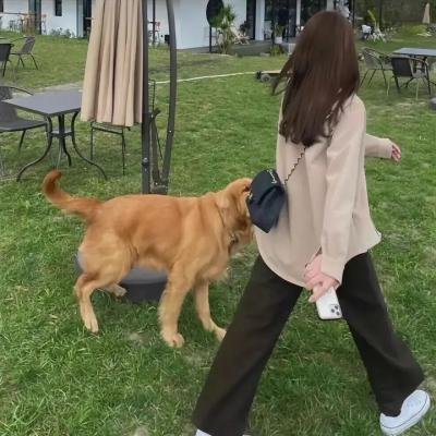 泪洒女人花