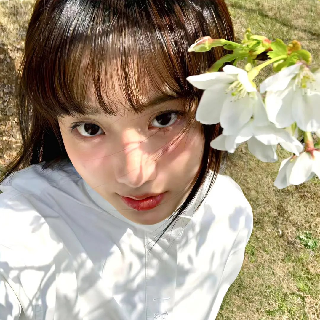 妙探肥羊